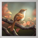 Recherche de oiseau sur la branche posters Coloré