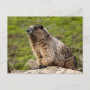 Recherche de rocky posters Banff