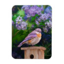 Recherche de photographies magnets Oiseau