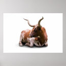 Recherche de texas longhorn posters Taureau