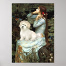 Recherche de coton de tulear art Chien