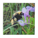 Recherche de abeille miel carreaux Pollinisateurs