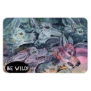 Recherche de lupus magnets Loups