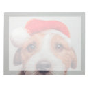 Recherche de jack russel blocsnotes Jack russell terrier