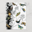 Recherche de oiseaux noirs cartes postales Floral