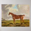 Recherche de talisman posters Cheval