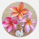 Recherche de sableuse de sable Hawaii