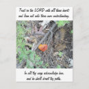 Recherche de proverbes 3 5 cartes postales Photographie