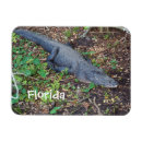 Recherche de terrestre magnets Reptile