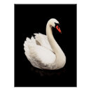 Recherche de cygne vintage art Blanc