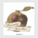 Recherche de store Vintage