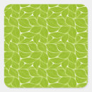 Recherche de feuillu autocollants Tropical