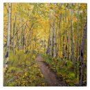 Recherche de sentir carreaux Automne