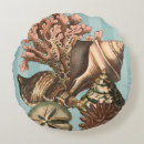 Recherche de vie marine coussins Coquillage