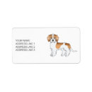 Recherche de chien multiplie Mignon