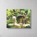 Recherche de deux loups posters Loup gris