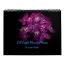 Recherche de lueur photographie Fleurs