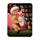 Recherche de oeuf magnets Humour