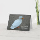 Recherche de canard blanc Oiseau