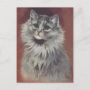Recherche de persan chat cartes postales Perse