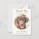 Recherche de photo rose vœux cartes Moderne