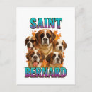 Recherche de bernard cartes postales Chien
