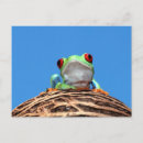 Recherche de grenouille costa rica cartes postales Amphibien