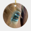 Recherche de vision de cheval Chevaux