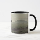 Recherche de chevaux arabes tasses Baie