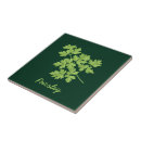 Recherche de persil carreaux Herbe