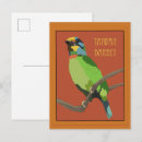 Recherche de barbu cartes postales Nature