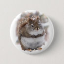 Recherche de bêtes badges Animaux