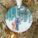 Recherche de tombe ornements Joyeux noël