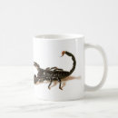Recherche de scorpions tasses Piqûre