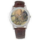 Recherche de colorado watches Nature