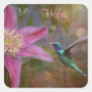 Recherche de de colibri autocollants Pour tous