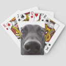 Recherche de labrador noir jeux de cartes Dog