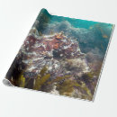 Recherche de corail papier cadeau Récif corallien