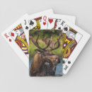 Recherche de taureau jeux de cartes delimont danita