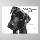 Recherche de droits des animaux posters Dog