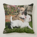 Recherche de faon coussins Blanc