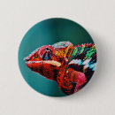 Recherche de chameleon badges Lézard