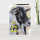 Recherche de chèvre billy vœux cartes Chèvres