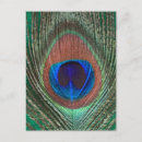 Recherche de couleur paon cartes postales Nature
