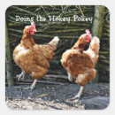 Recherche de humour de poulet autocollants Poulets