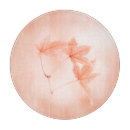 Recherche de érable planches à découper Automne