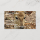 Recherche de cerfs communs cartes visite Faon