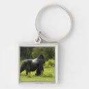 Recherche de mcdonald Diurne