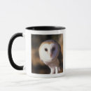 Recherche de hiboux verres tasses Faune
