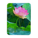 Recherche de lotus magnets Réfrigérateur